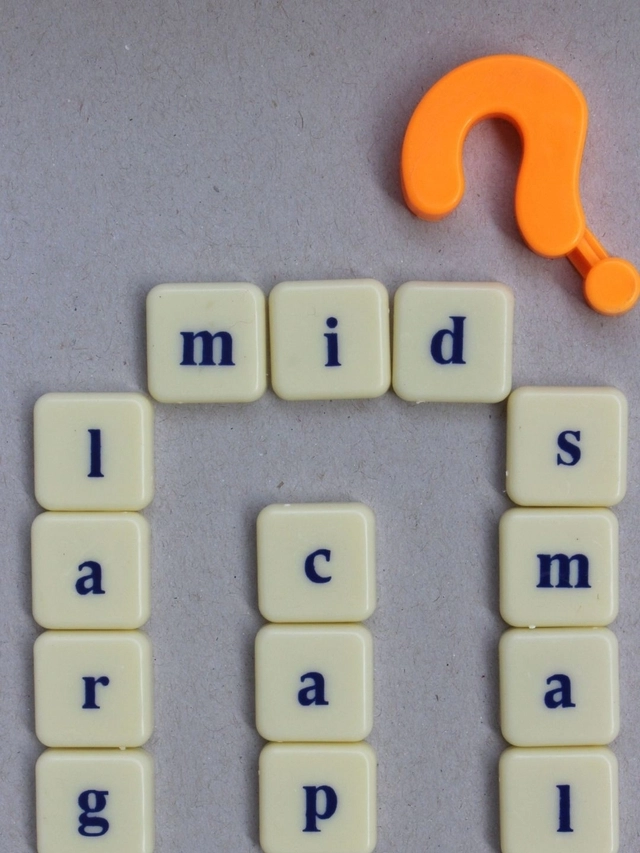 The 5 most popular mid-cap funds of last one year