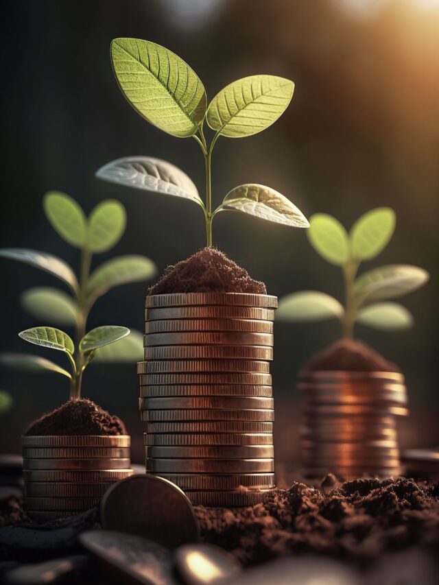 Investing Rs 50,000+ Monthly in Mutual Funds