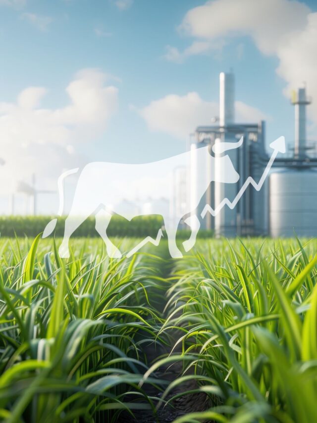 Can the fertiliser industry ride out its rough seas?