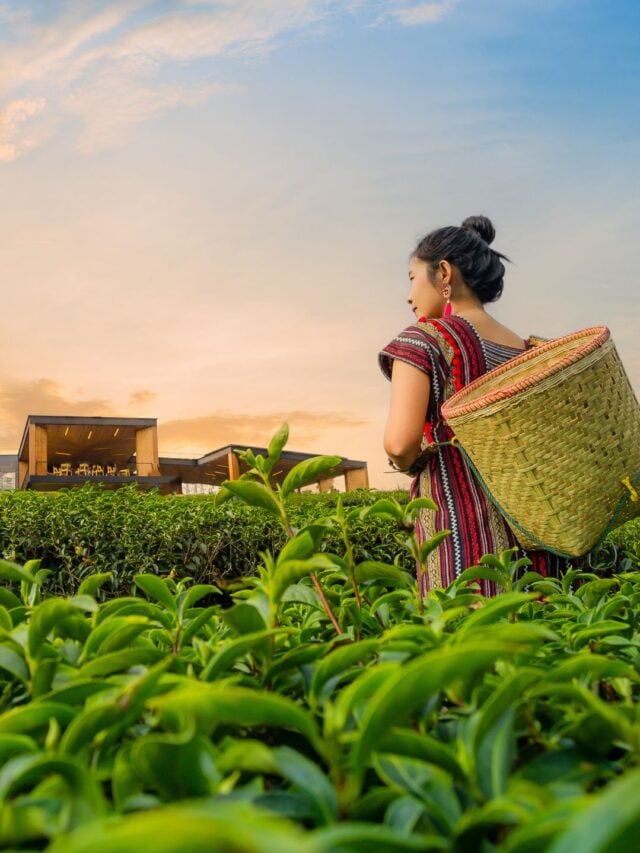 This overlooked commodity sector is eyeing to turn the corner